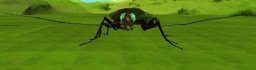 Click Picture To View More Larger, Higher Resolution Pictures of this Roach Avatar